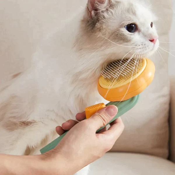 Pumpkin Grooming Brush